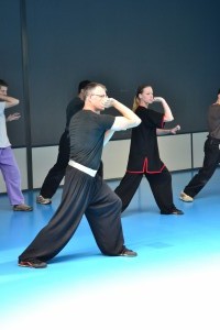 hunggarnancy-artsmartiaux-wushu-kungfu-ericbourbonnais-18juin2016-20   